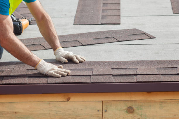 Best Steel Roofing  in Evans, GA